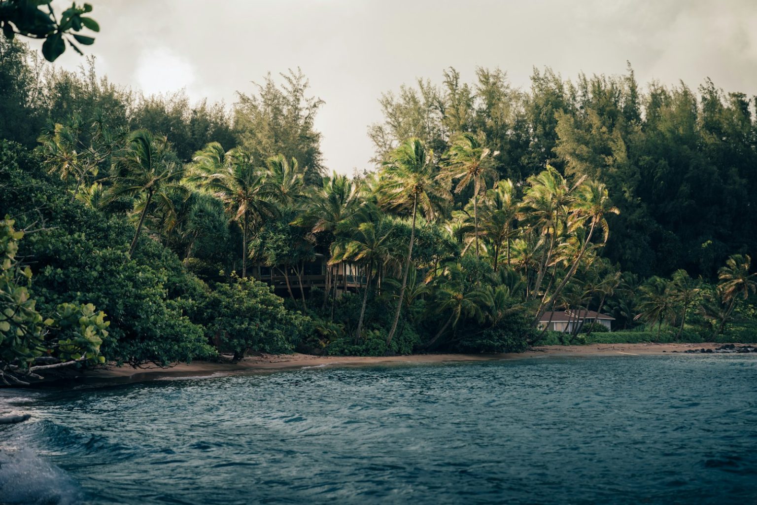 Photo by Peter Thomas A body of water surrounded by lush green trees
